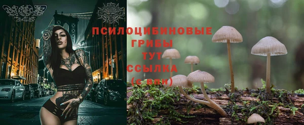 меф Алзамай